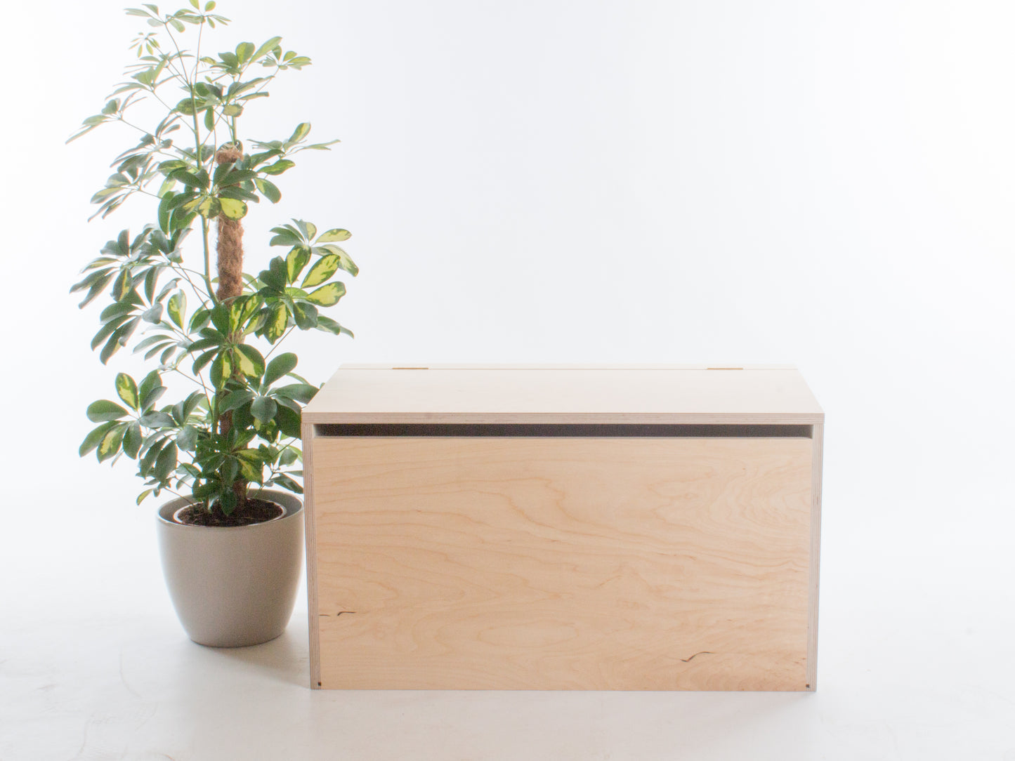 Storage Bench
