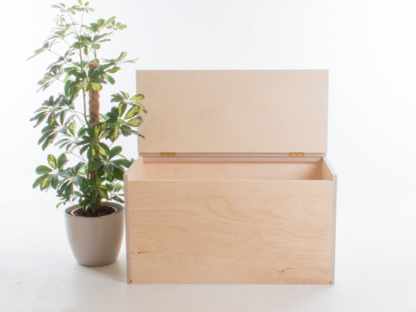 Storage Bench
