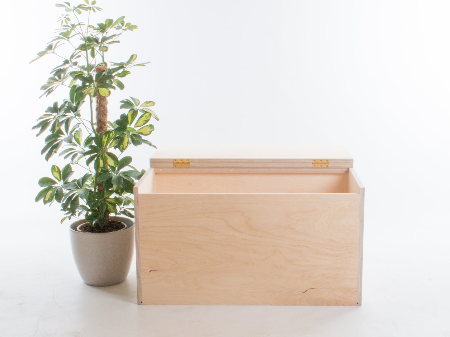 Storage Bench